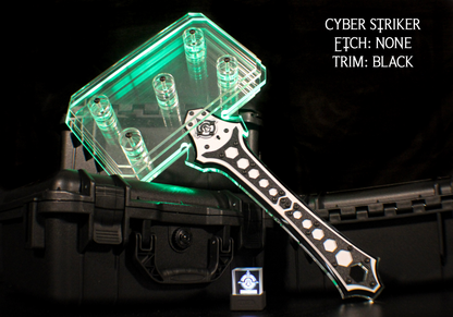 Cyber Striker